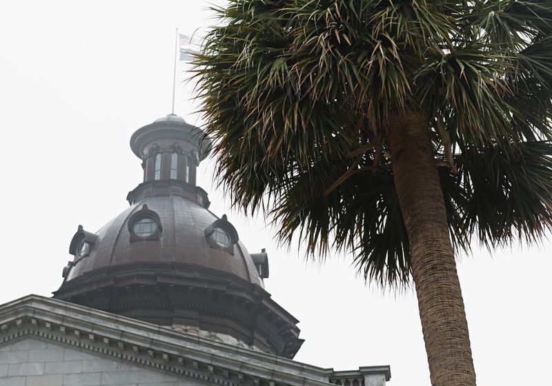 Palmetto