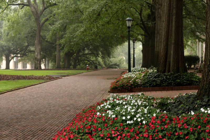 Horseshoe UofSC