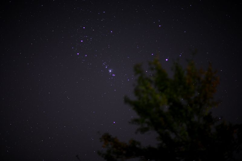 Clear night from my front yard
