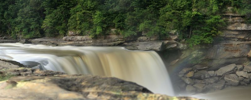 Panoramic