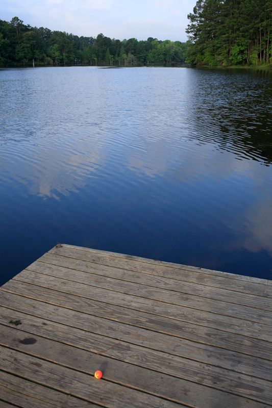 g13/37/806637/2/98958584.97e6f9b1.JPEG