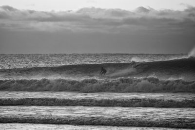 Rfive2_MG_8817 bw.jpg