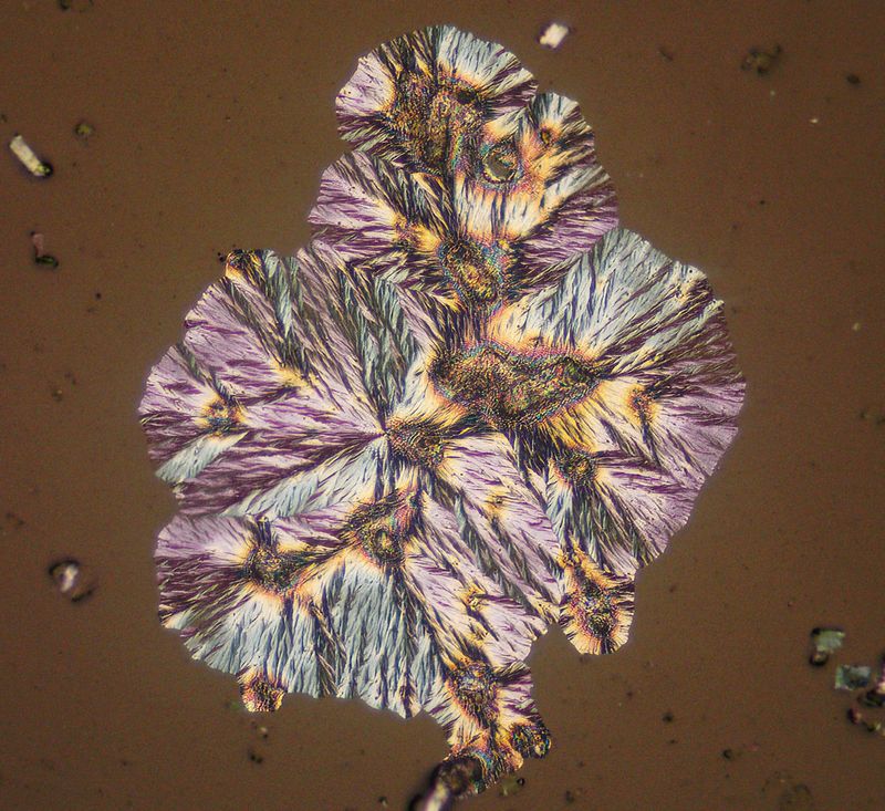 Vitamin C crystals