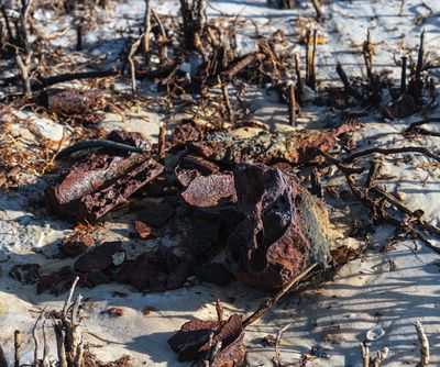 ..rust at the beach..