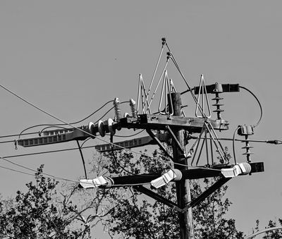 ..busy power pole..