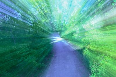 ..ICM Path ..