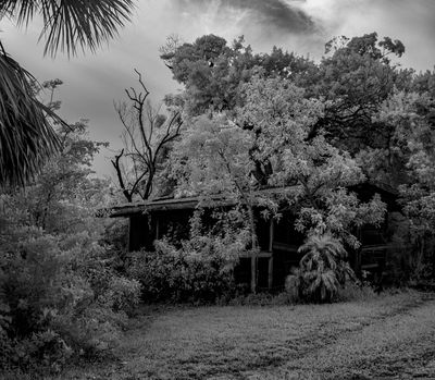 BW iR Florida fishing shack