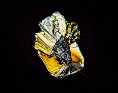 Polarized Crystal gallery