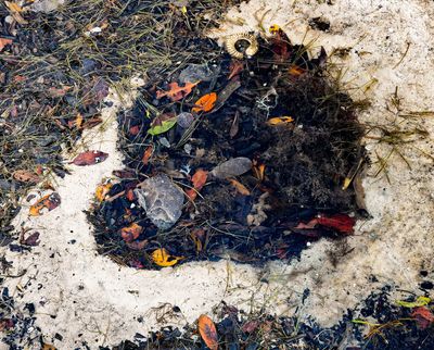 ..low tide, pool collection..
