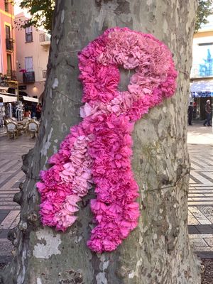 Octobre rose à Collioure