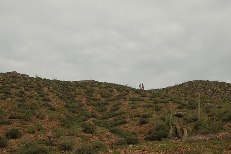 DSC_7581.JPG