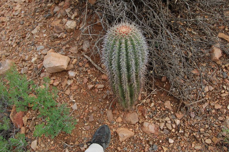 DSC_7583.JPG