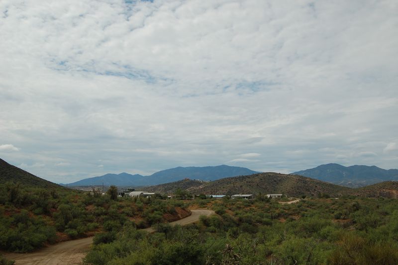 DSC_7612.JPG