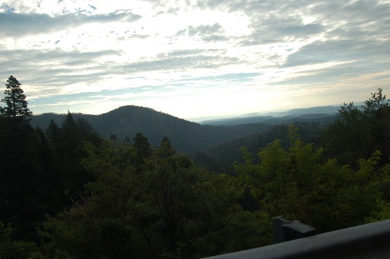 DSC_8122.JPG