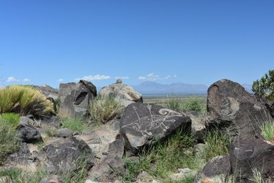DSC_0076.JPG