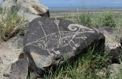 three_rivers_petroglyphs_site_new_mexico