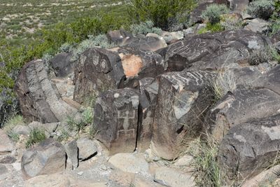 DSC_0088.JPG