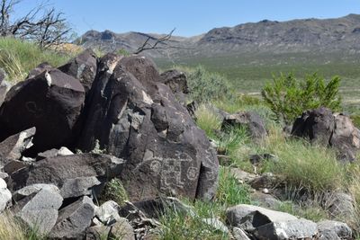 DSC_0089.JPG
