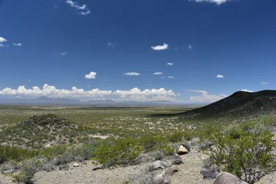 DSC_0136.JPG