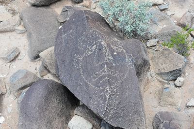 DSC_0141.JPG