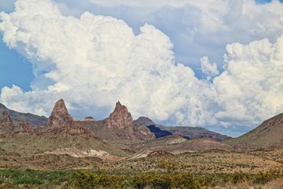 Mule Ears