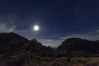 bibe_rebeccalatson_83q8173_moonlight_over_the_window.jpg