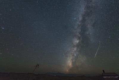 Chisos Mountains in the background.jpg