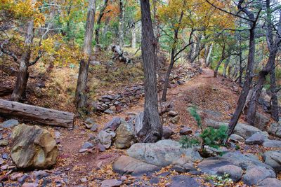 Chisos mountains.jpg