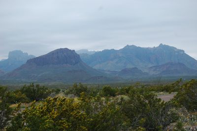 DSC_0847.jpg