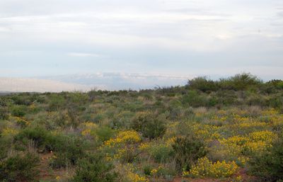 DSC_1131.jpg
