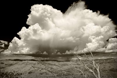 from Davis Mountains State Park..jpg