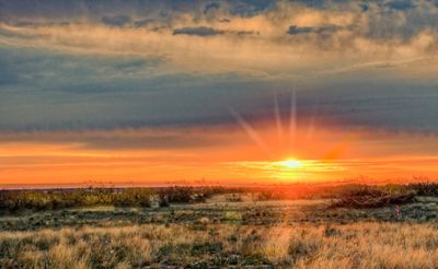 marfa.jpg