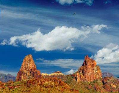 mule ears (2).jpg