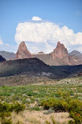 Mule Ears.jpg