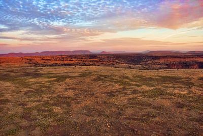 Northeast Brewster County.jpg