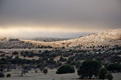 outside of Terlingua.jpg