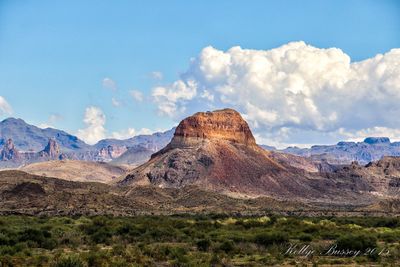 Ross Maxwell Scenic Drive..jpg