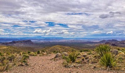 Sotol Vista (2).jpg