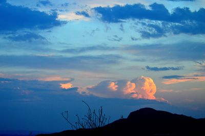 Terlingua.jpg