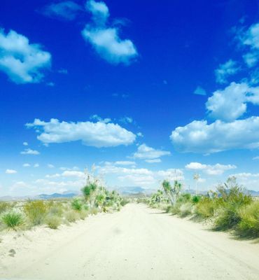 The Maverick road.jpg