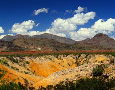 The Ocotillo Layer. 2015.jpg