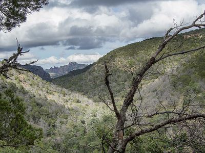 The Sierra Quemada.jpg