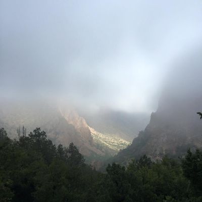 12088070_10205941298704