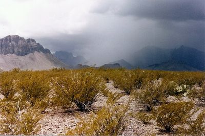 1984 off Glenn Springs Rd.jpg