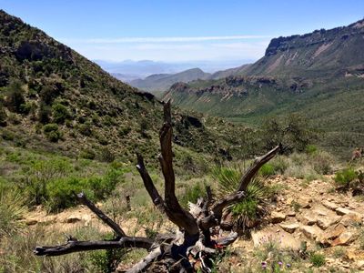 lost mine trail (3).jpg