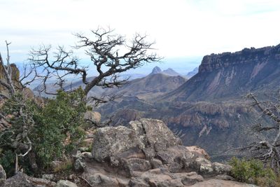 lost mine trail (4).jpg