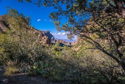 Lost Mine Trail (5).jpg