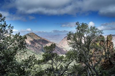 Pinnacles.jpg
