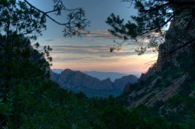Pulliam Bluff, dawn.jpg