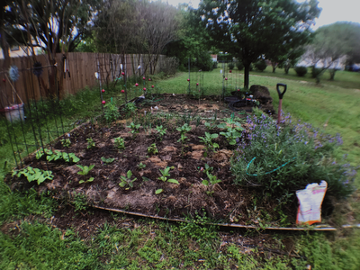 IMG_0859.gif